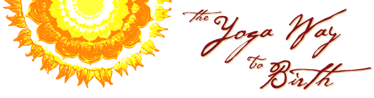 ywtb-horizontal-logo2